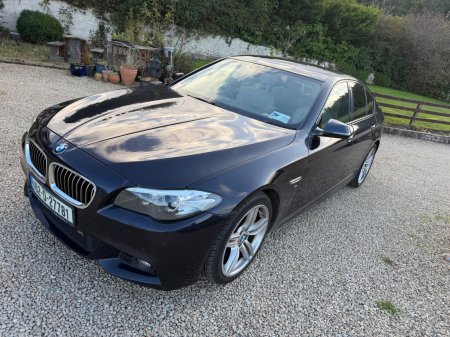 2016 BMW 5-Series - photo 11