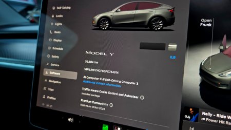 2023 Tesla Model Y - photo 45