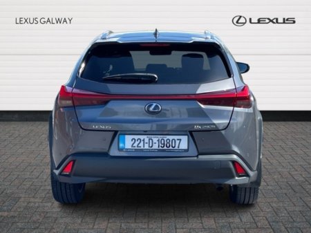 2022 Lexus UX - photo 5