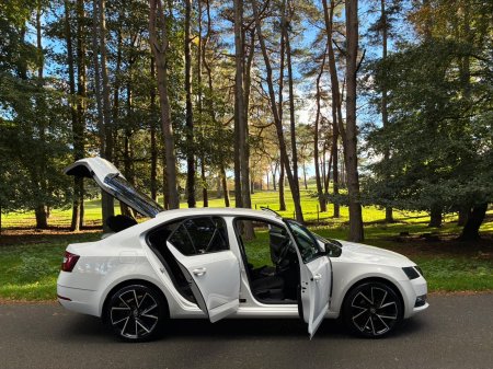 2018 Skoda Octavia - photo 29