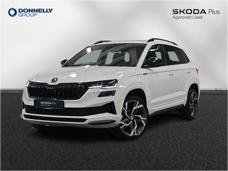 2025 Skoda Karoq - photo 13