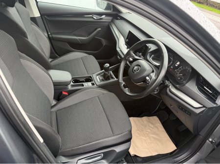 2023 Skoda Octavia - photo 6