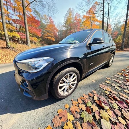 2018 BMW X1 - photo 13