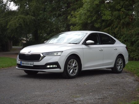 2021 Skoda Octavia - photo 16