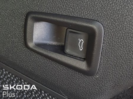 2025 Skoda Kodiaq - photo 3