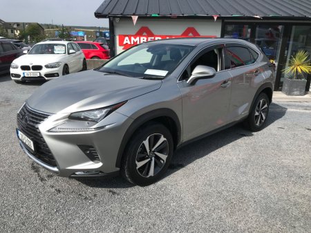 2020 Lexus NX - photo 15