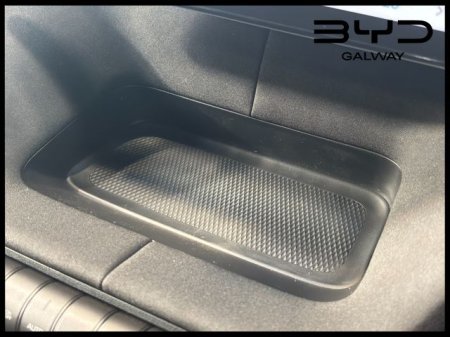 2026 BYD DOLPHIN - photo 25