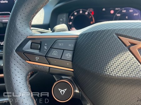 2026 Cupra Terramar - photo 18