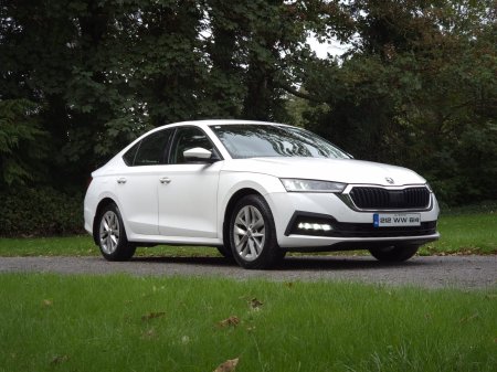 2021 Skoda Octavia - photo 2