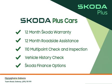 2023 Skoda Octavia - photo 4