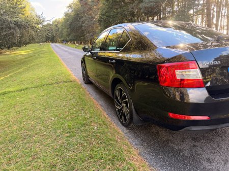 2017 Skoda Octavia - photo 40