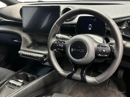 2025 BYD DOLPHIN - photo 15