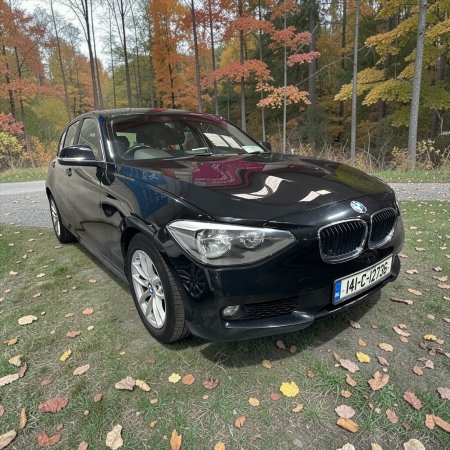 2014 BMW 1-Series - photo 16