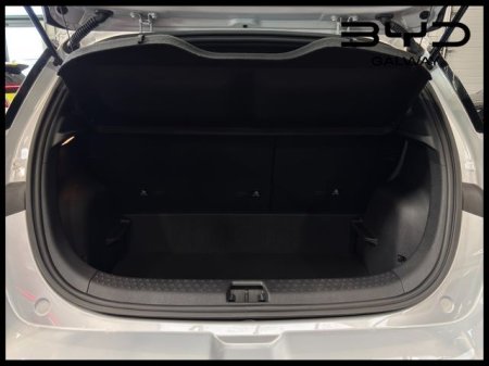 2026 BYD DOLPHIN - photo 42