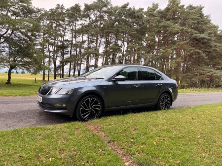 2018 Skoda Octavia - photo 3