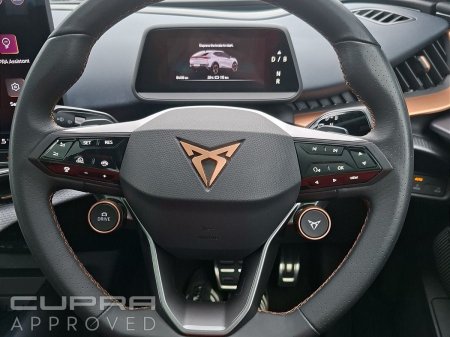 2025 Cupra Tavascan - photo 18
