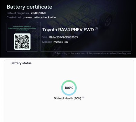 2021 Toyota RAV4 - photo 13