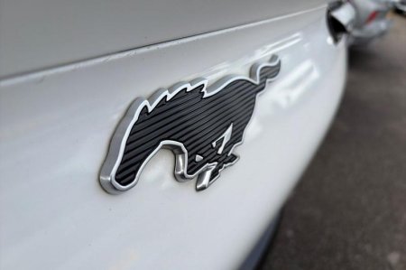 2022 Ford Mustang Mach-E - photo 23