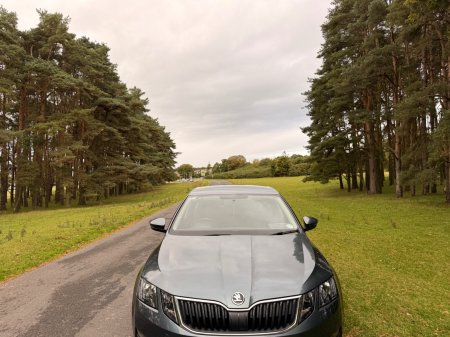 2018 Skoda Octavia - photo 40