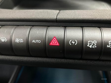 2025 BYD DOLPHIN - photo 22