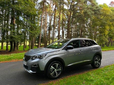 2019 Peugeot 3008 - photo 3