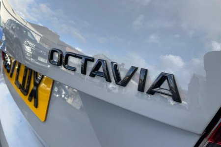 2018 Skoda Octavia - photo 38