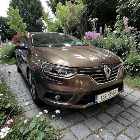 2018 Renault Megane - photo 6