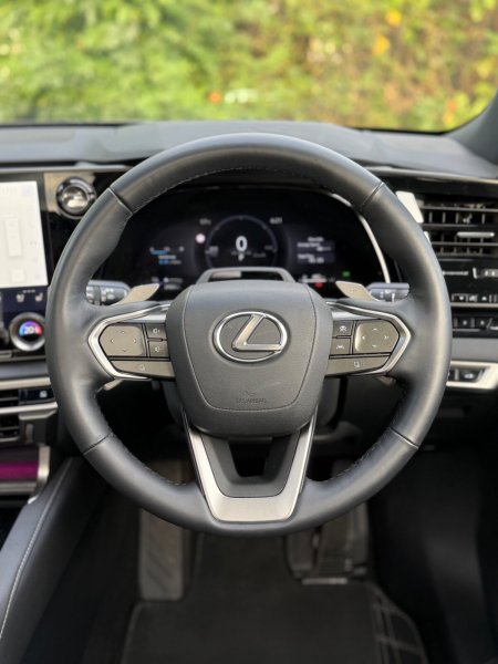 2025 Lexus RX - photo 23
