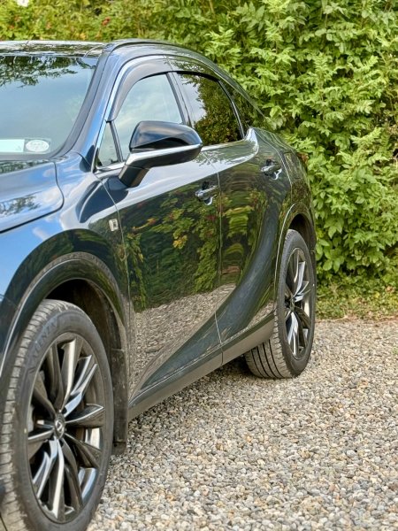 2025 Lexus RX - photo 10