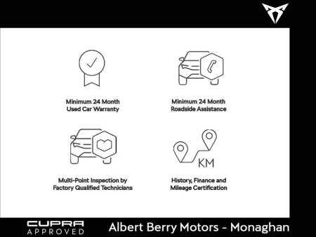 2026 Cupra Terramar - photo 7