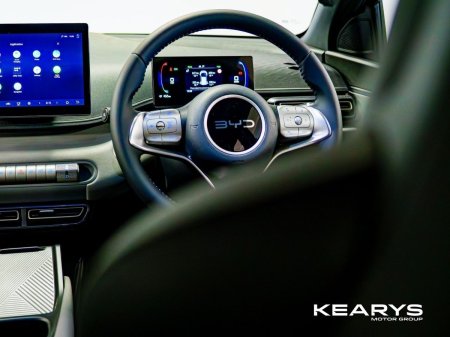2026 BYD DOLPHIN SURF - photo 38