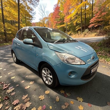 2009 Ford KA - photo 7
