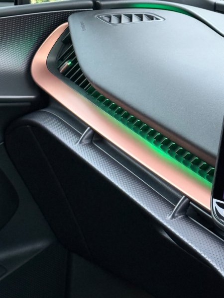 2026 Cupra Tavascan - photo 23