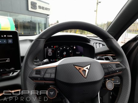 2026 Cupra Terramar - photo 20
