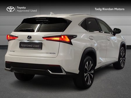 2021 Lexus NX - photo 2