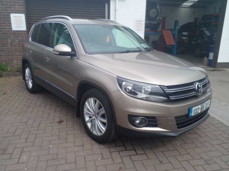 2013 Volkswagen Tiguan - photo 6
