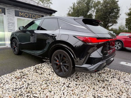 2024 Lexus RX - photo 14