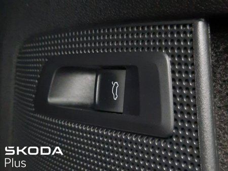 2024 Skoda Kodiaq - photo 3