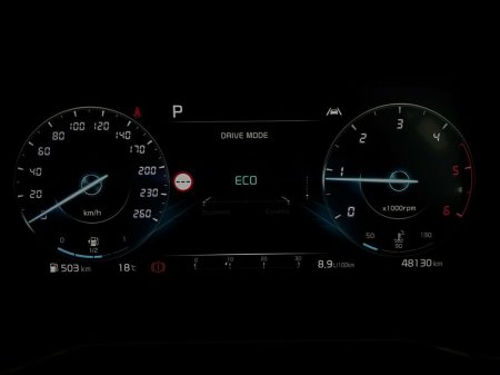 2024 Kia Sorento - photo 28