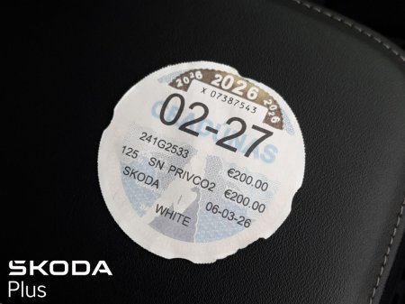 2024 Skoda Karoq - photo 29