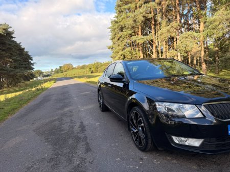 2017 Skoda Octavia - photo 37