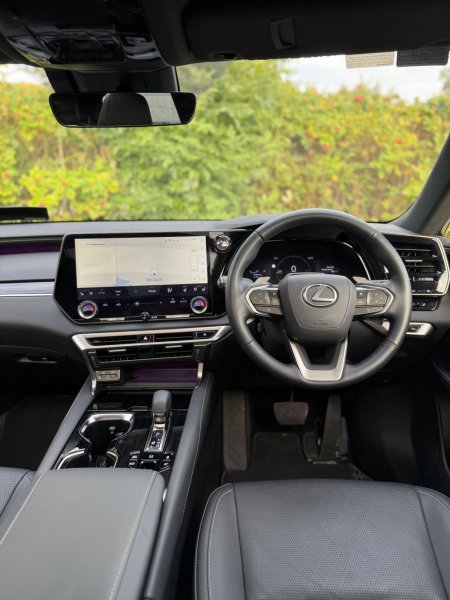 2025 Lexus RX - photo 26