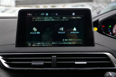 2019 Peugeot 5008 - photo 13