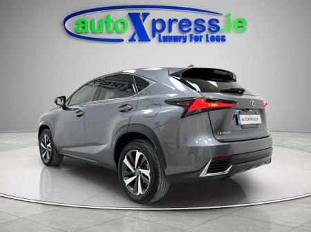 2020 Lexus NX - photo 9