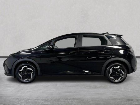 2025 BYD DOLPHIN - photo 19