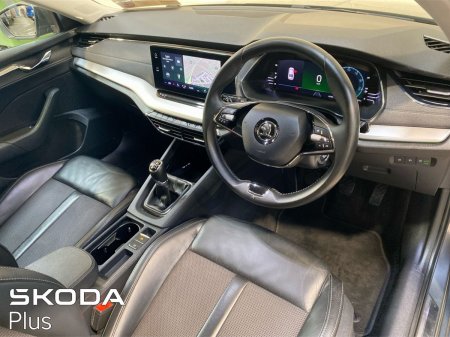 2023 Skoda Octavia - photo 7