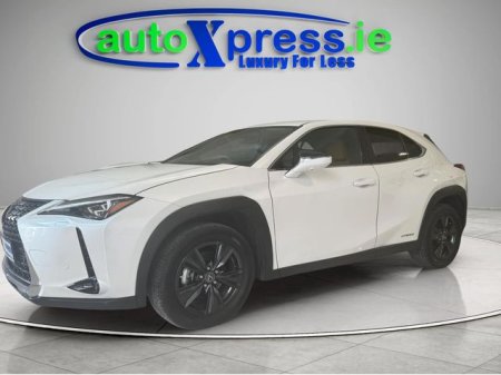 2021 Lexus UX - photo 9