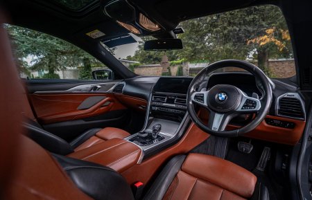 2020 BMW 8-Series - photo 11