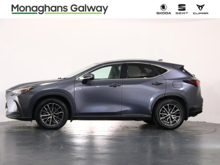 2023 Lexus NX - photo 6