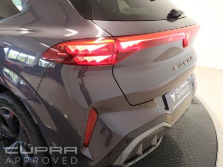 2026 Cupra Terramar - photo 19